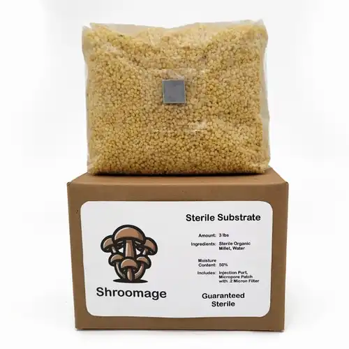 Sterilized Millet On Its Shipping Box